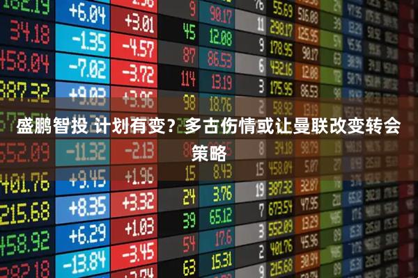 盛鹏智投 计划有变？多古伤情或让曼联改变转会策略